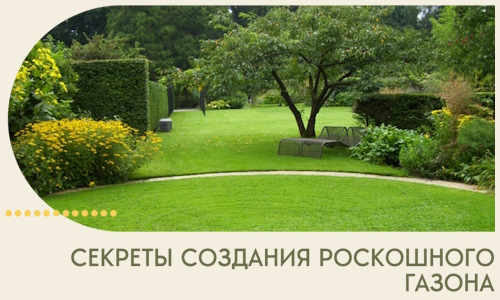 Секреты создания роскошного газона в Южноуральске